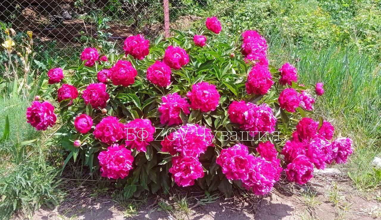 Нам пишут бойцы: